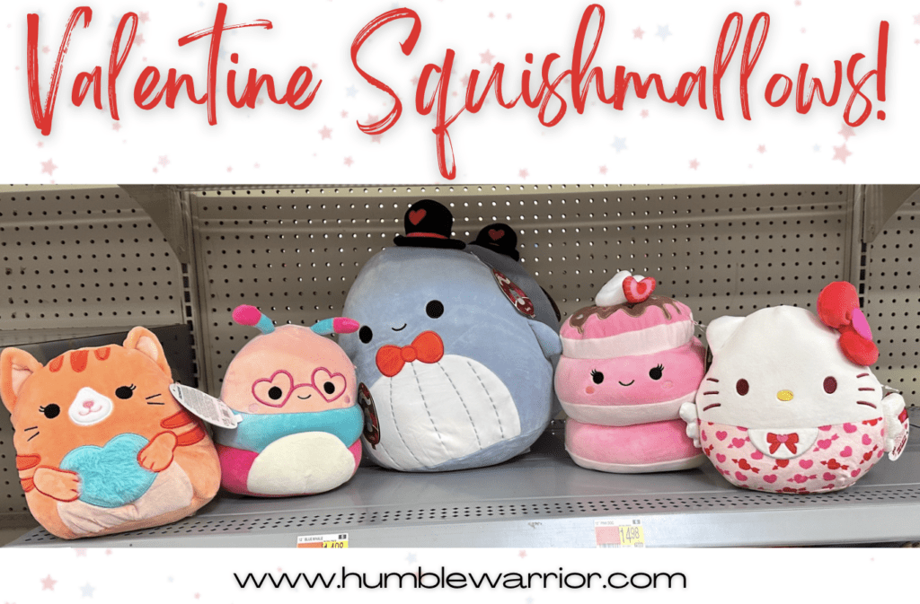 Valentine Squishmallows!